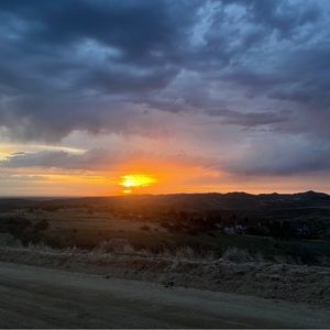 Meet your Posher, Kylee